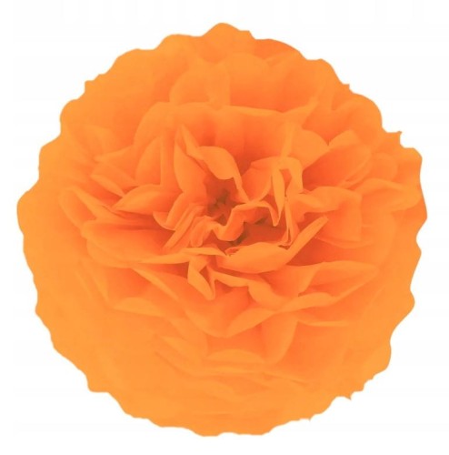 5cb7b5941ed9208ebf2bc55790567bc6