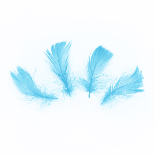 e6a00fe8a4a566613af3f83caaa3ea1e