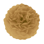 Pompon bibułowy brązowy/złoty 15 cm