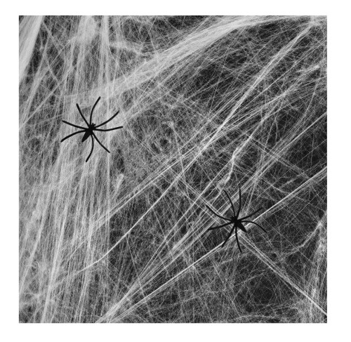 5b0b55403ff2746c3b25303c9776131e