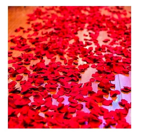 730d763b8aa150525e2715e154747b1b