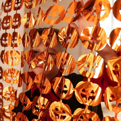 b881d1e5fd7ee26c14e140da9c29c6cb