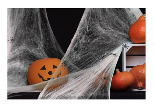 Pajęczyna Halloween biała 20g 11.jpg