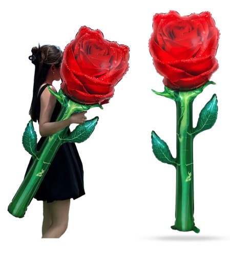 aae4d231ccd213b4adeca09710441246