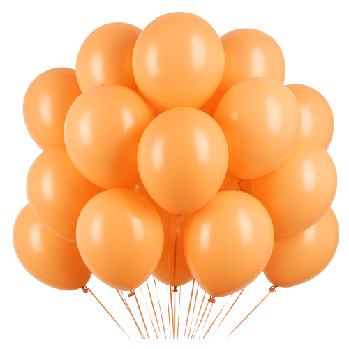 Miniatura allegro-19.png