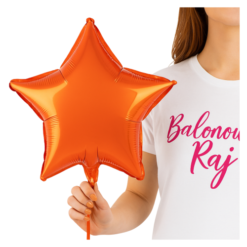 Miniatura allegro-26.png